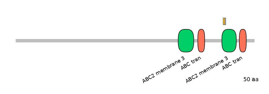 BtaINT0010974-EXC