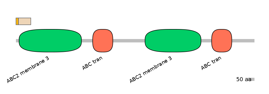 BtaINT0011031-EXC