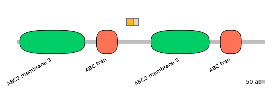 BtaINT0011035-EXC