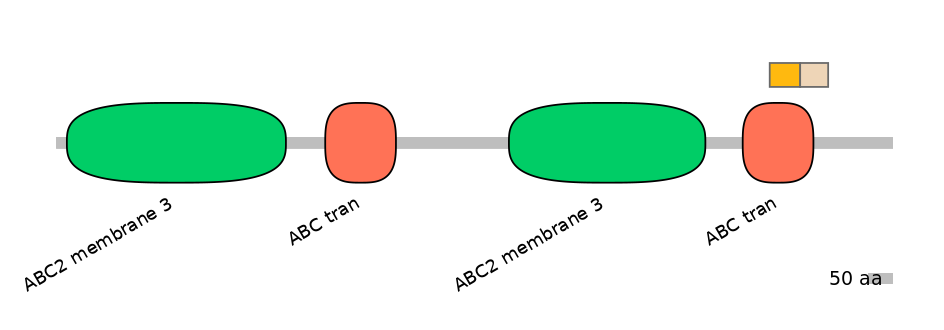 BtaINT0011047-EXC