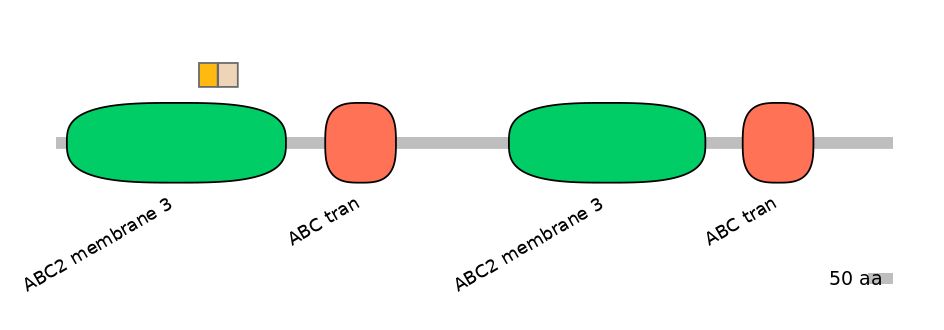 BtaINT0011052-EXC