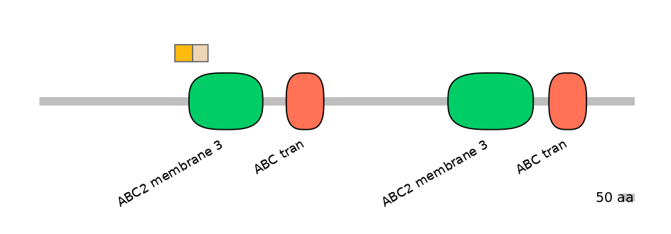 BtaINT0011059-EXC