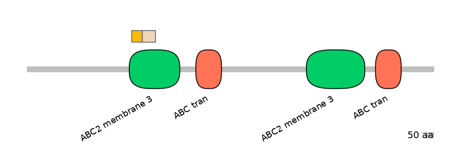 BtaINT0011060-EXC