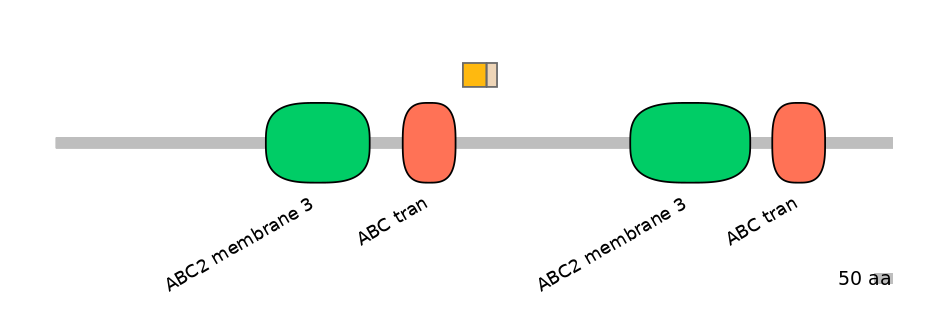 BtaINT0011071-EXC