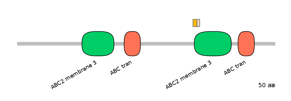 BtaINT0011082-EXC