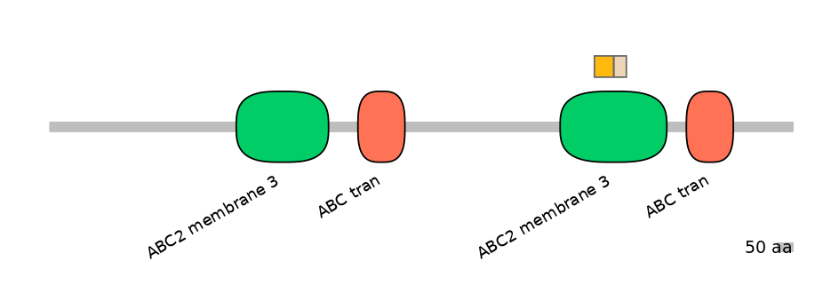 BtaINT0011085-EXC