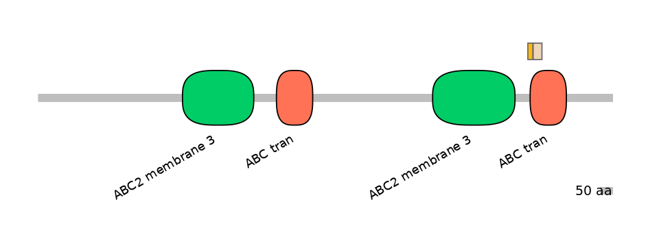 BtaINT0011092-EXC