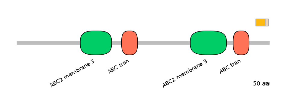 BtaINT0011098-EXC