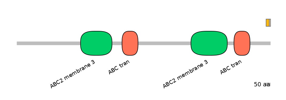 BtaINT0011099-EXC