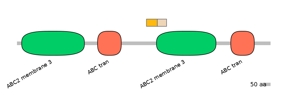 BtaINT0011114-EXC