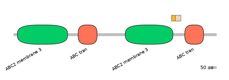 BtaINT0011124-EXC