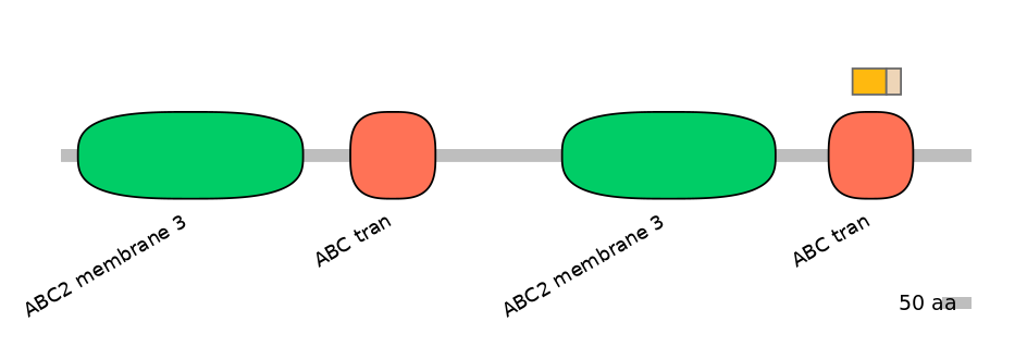 BtaINT0011129-EXC