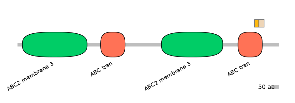BtaINT0011130-EXC