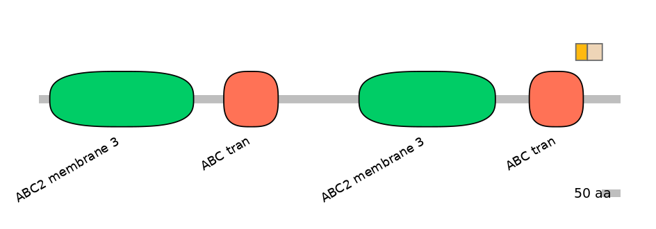 BtaINT0011131-EXC