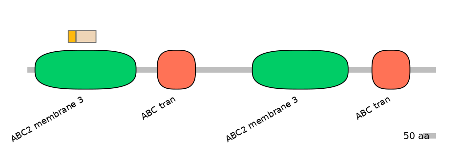 BtaINT0011133-EXC