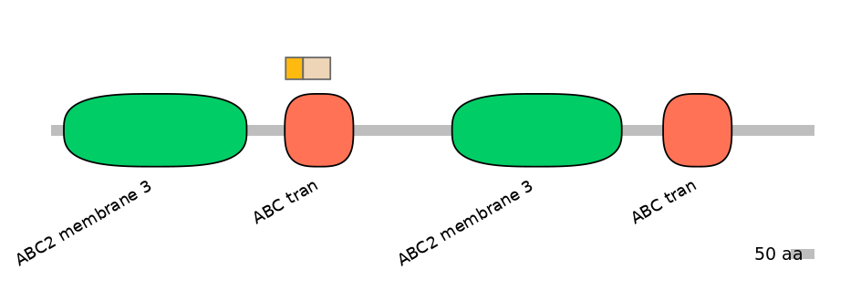BtaINT0011141-EXC