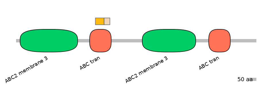 BtaINT0011142-EXC