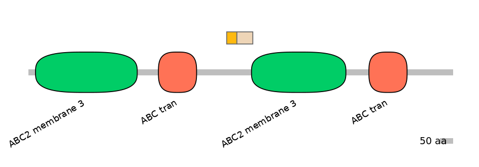 BtaINT0011147-EXC