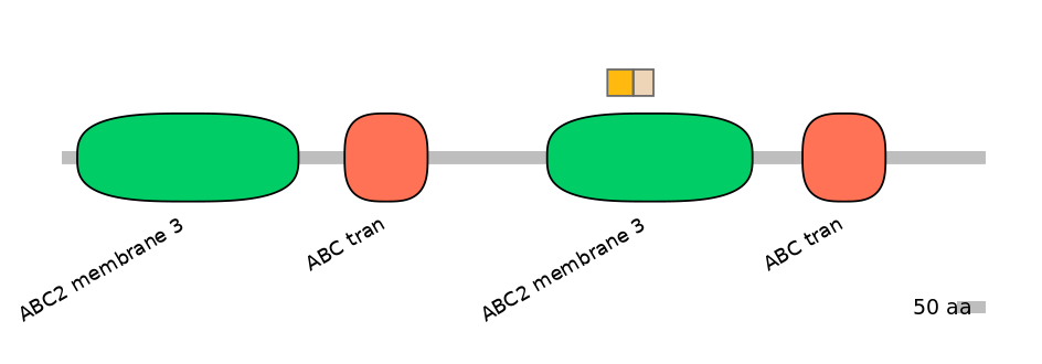 BtaINT0011152-EXC
