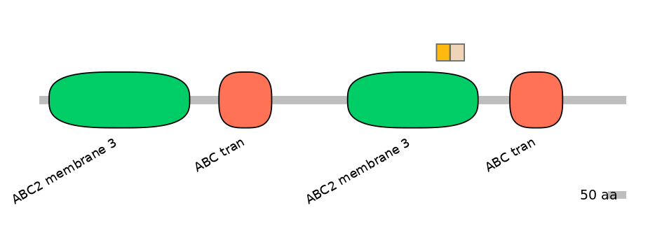 BtaINT0011155-EXC