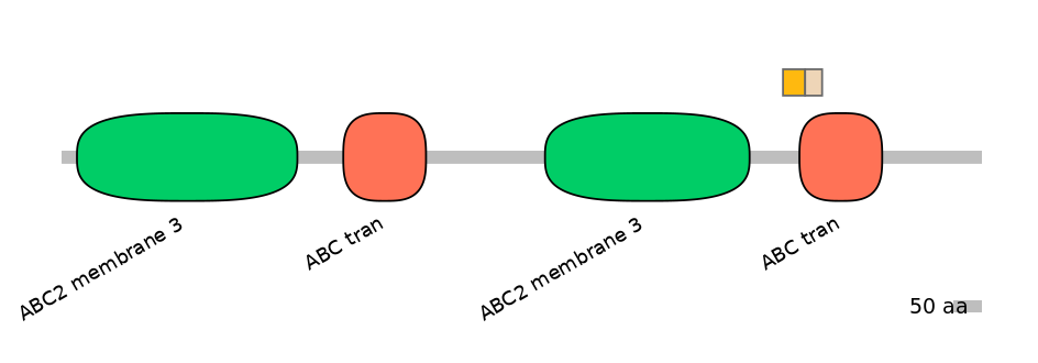 BtaINT0011160-EXC