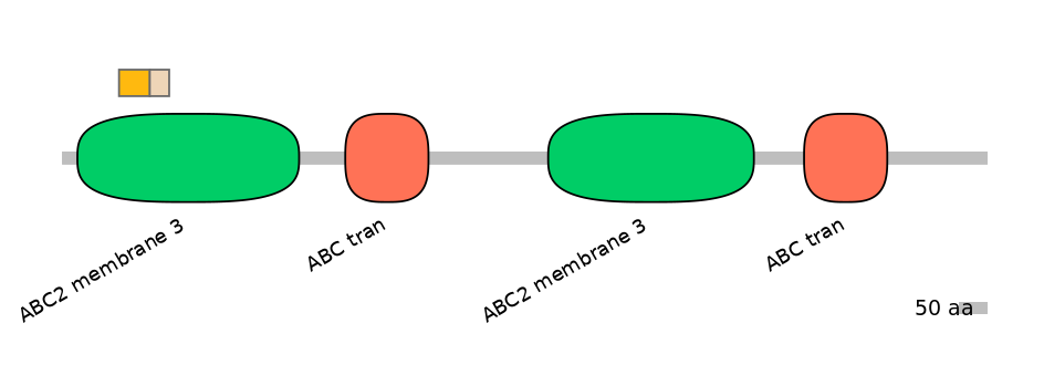 BtaINT0011161-EXC