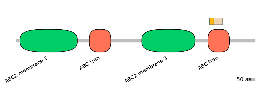 BtaINT0011162-EXC