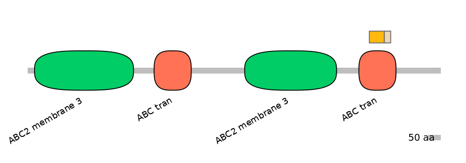 BtaINT0011163-EXC