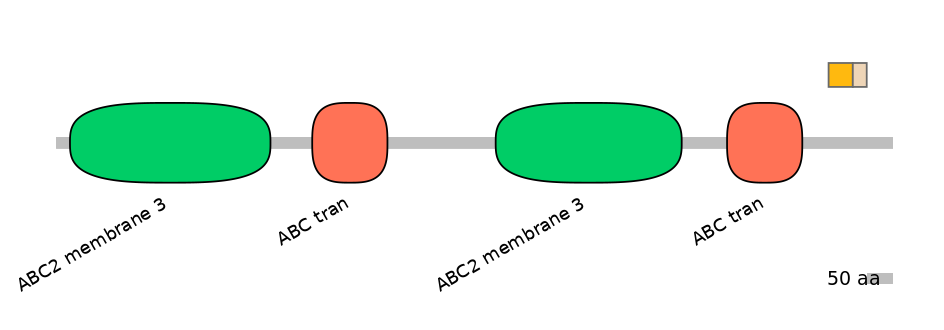BtaINT0011167-EXC