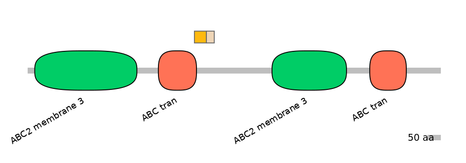 BtaINT0011226-EXC