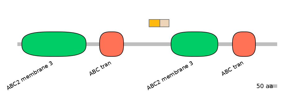 BtaINT0011230-EXC