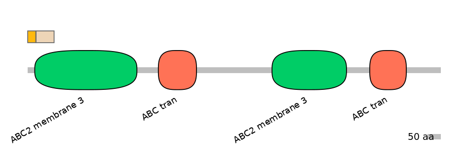 BtaINT0011231-EXC