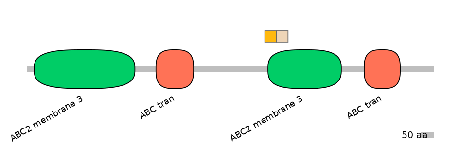 BtaINT0011233-EXC