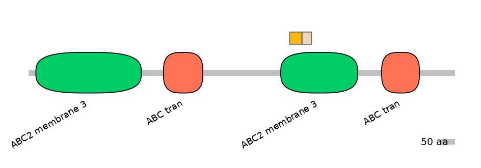 BtaINT0011234-EXC