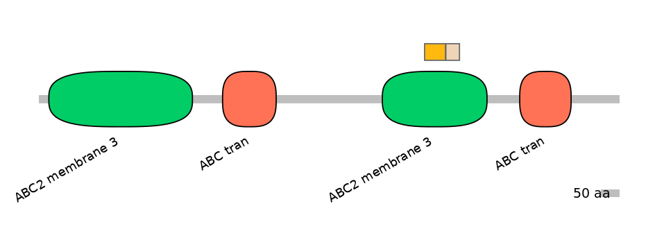 BtaINT0011236-EXC