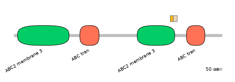 BtaINT0011239-EXC