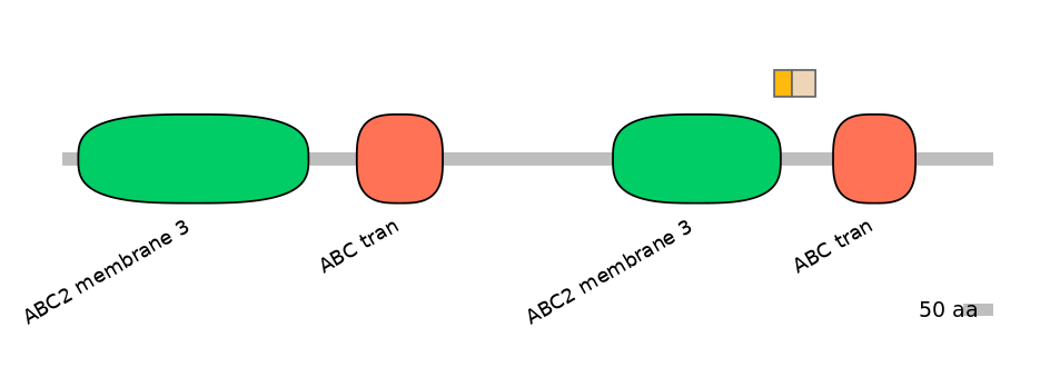 BtaINT0011240-EXC