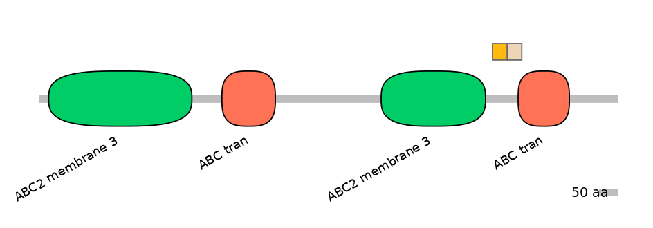 BtaINT0011241-EXC