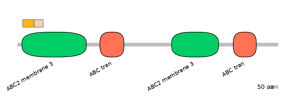 BtaINT0011242-EXC