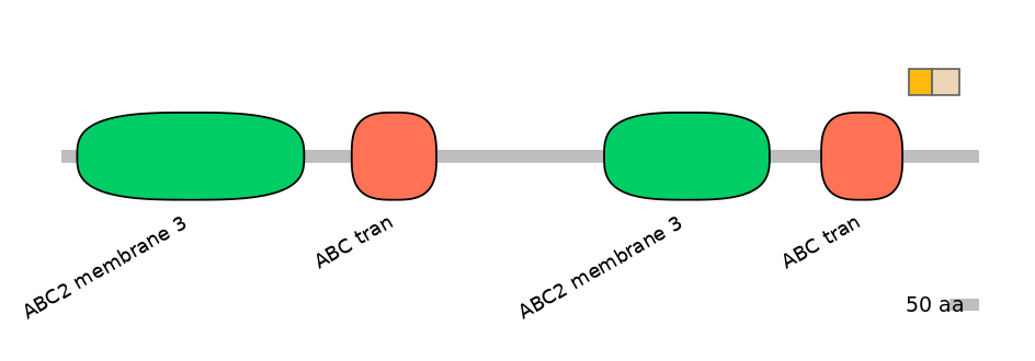 BtaINT0011248-EXC