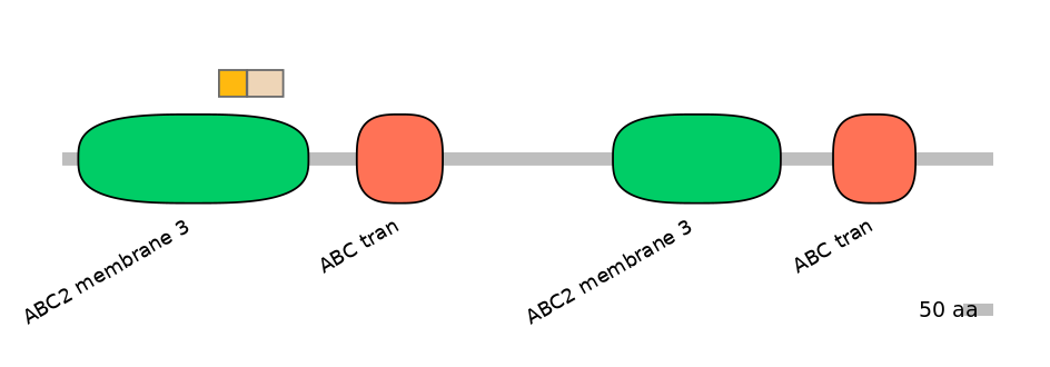 BtaINT0011253-EXC