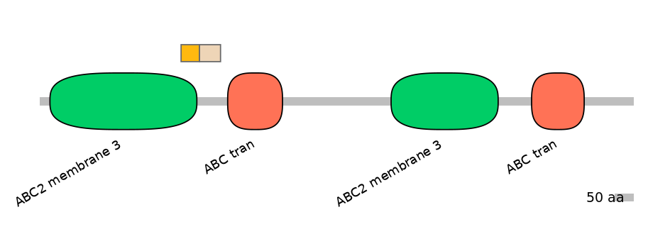 BtaINT0011255-EXC
