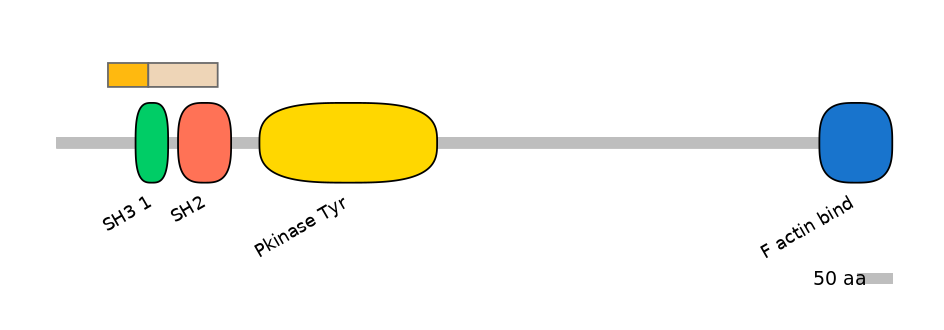 BtaINT0012126-EXC