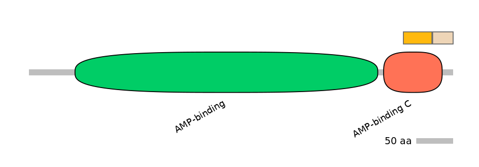 BtaINT0013181-EXC