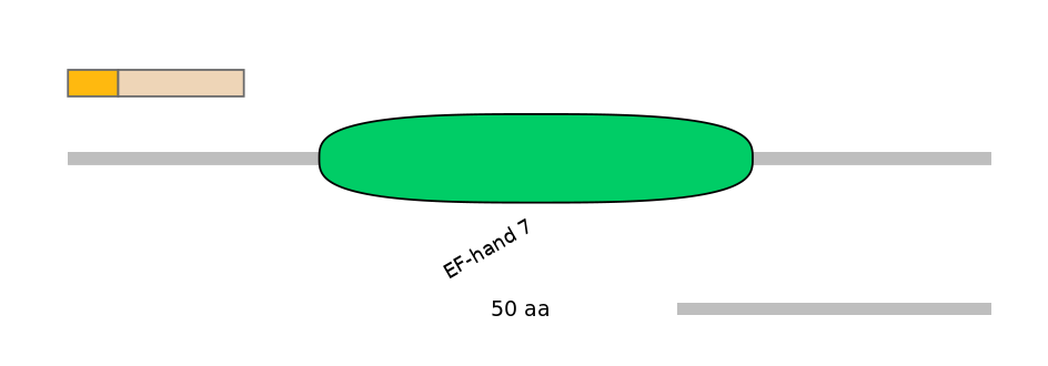 BtaINT0016185-EXC