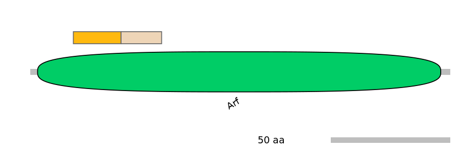 BtaINT0021381-EXC