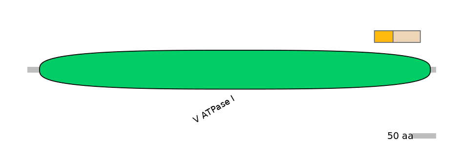 BtaINT0023663-EXC