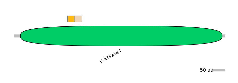 BtaINT0023670-EXC