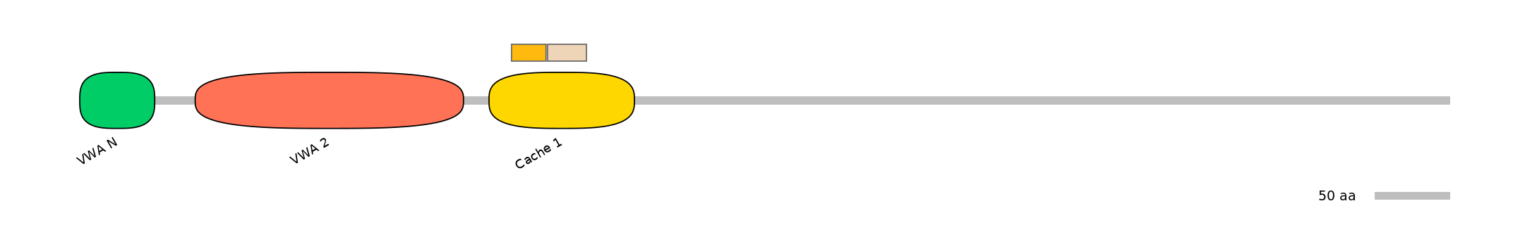 BtaINT0030461-EXC