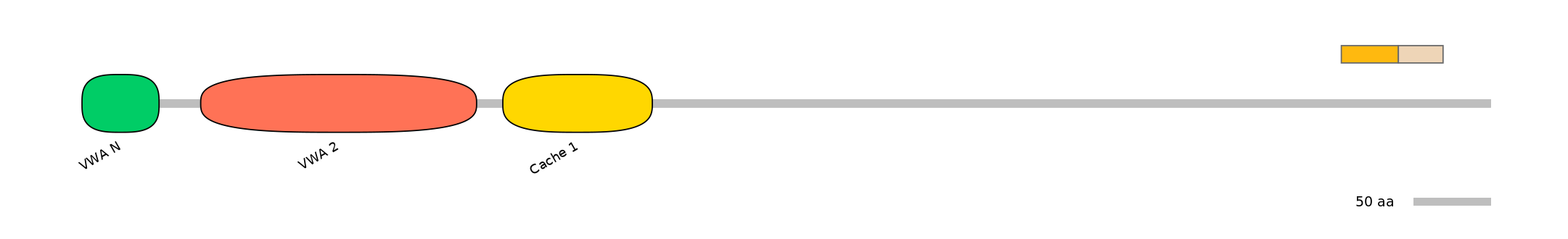BtaINT0030483-EXC